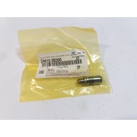 Гідрокомпенсатор Hyundai Sonata LPI, Kia K5 Гідрокомпенсатор Hyundai Sonata LPI, Kia K5