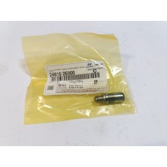 Гідрокомпенсатор Hyundai Sonata LPI, Kia K5