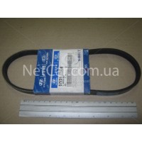 Ремень гидроусилителя Hyundai Getz 1.3