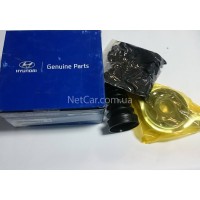 Подвесной подшипник Hyundai Santa Fe